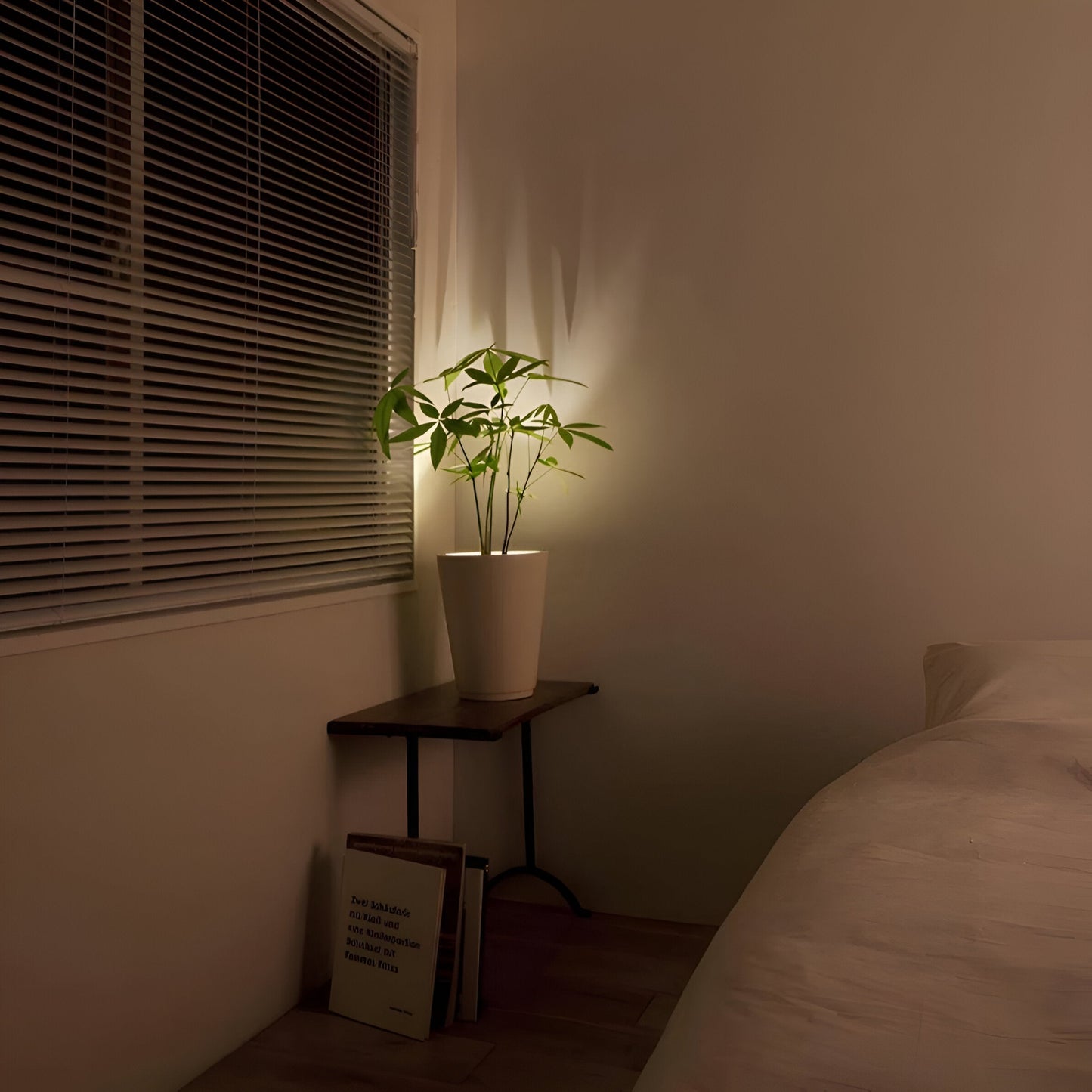 Sfeervolle plantspotlamp – Decoratieve accentverlichting voor binnen
