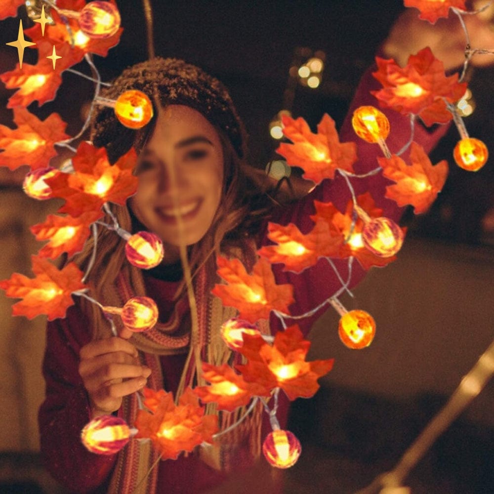 Herfstbladeren LED Slinger 6m met 40 Warmwitte Lampjes voor Sfeerverlichting